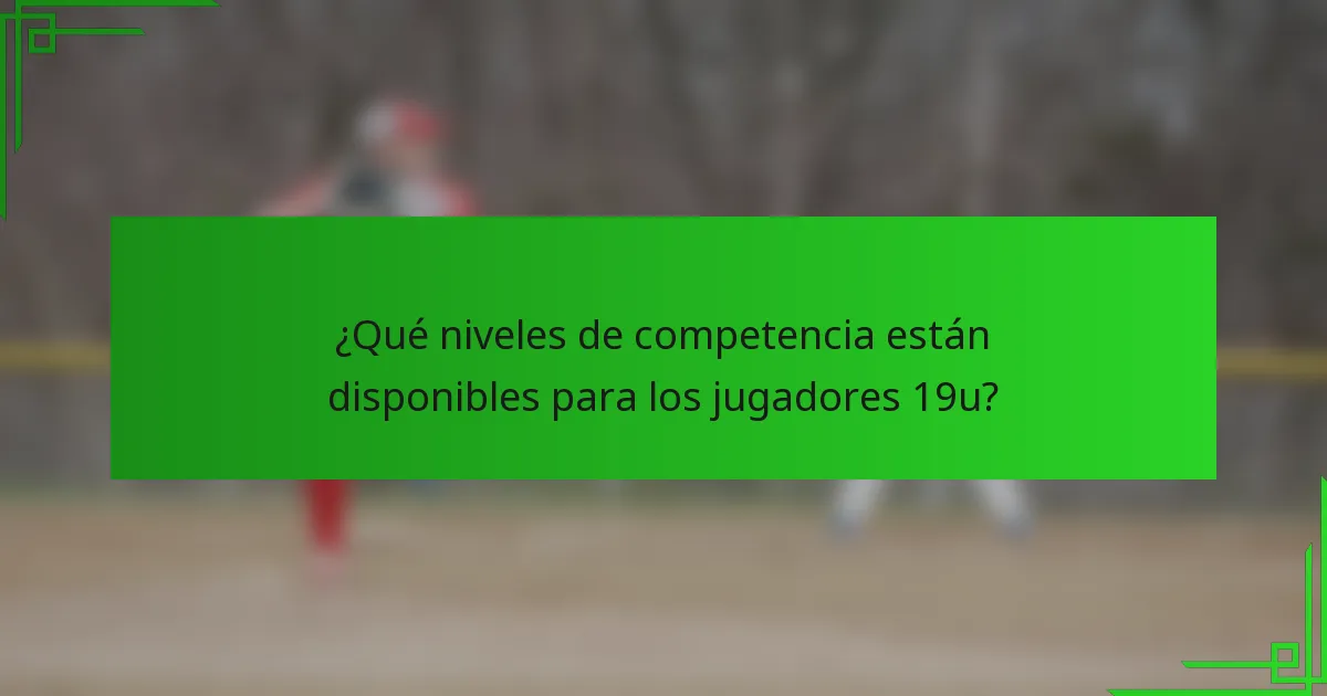¿Qué niveles de competencia están disponibles para los jugadores 19u?